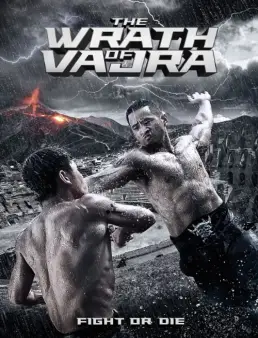 فيلم The Wrath Of Vajra 2013 مترجم