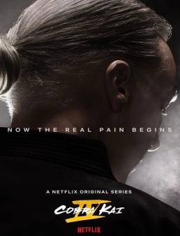 مسلسل Cobra Kai الموسم 4 الحلقة 10 والاخيرة