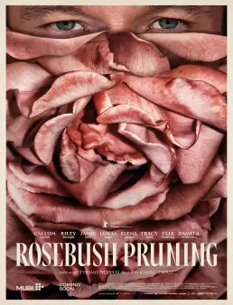 فيلم Rosebush Pruning 2026 مترجم