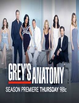 مسلسل grey's anatomy الموسم 9