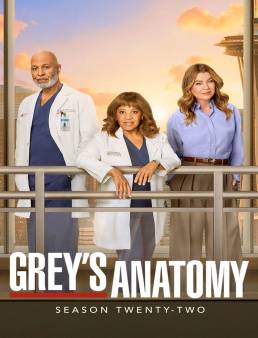 مسلسل Grey's Anatomy الموسم 22